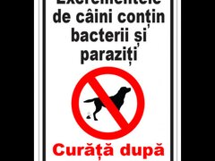 Semn excrementele de caini contin bacterii si paraziti curata dupa cainele tau