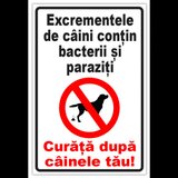 Semn excrementele de caini contin bacterii si paraziti curata dupa cainele tau